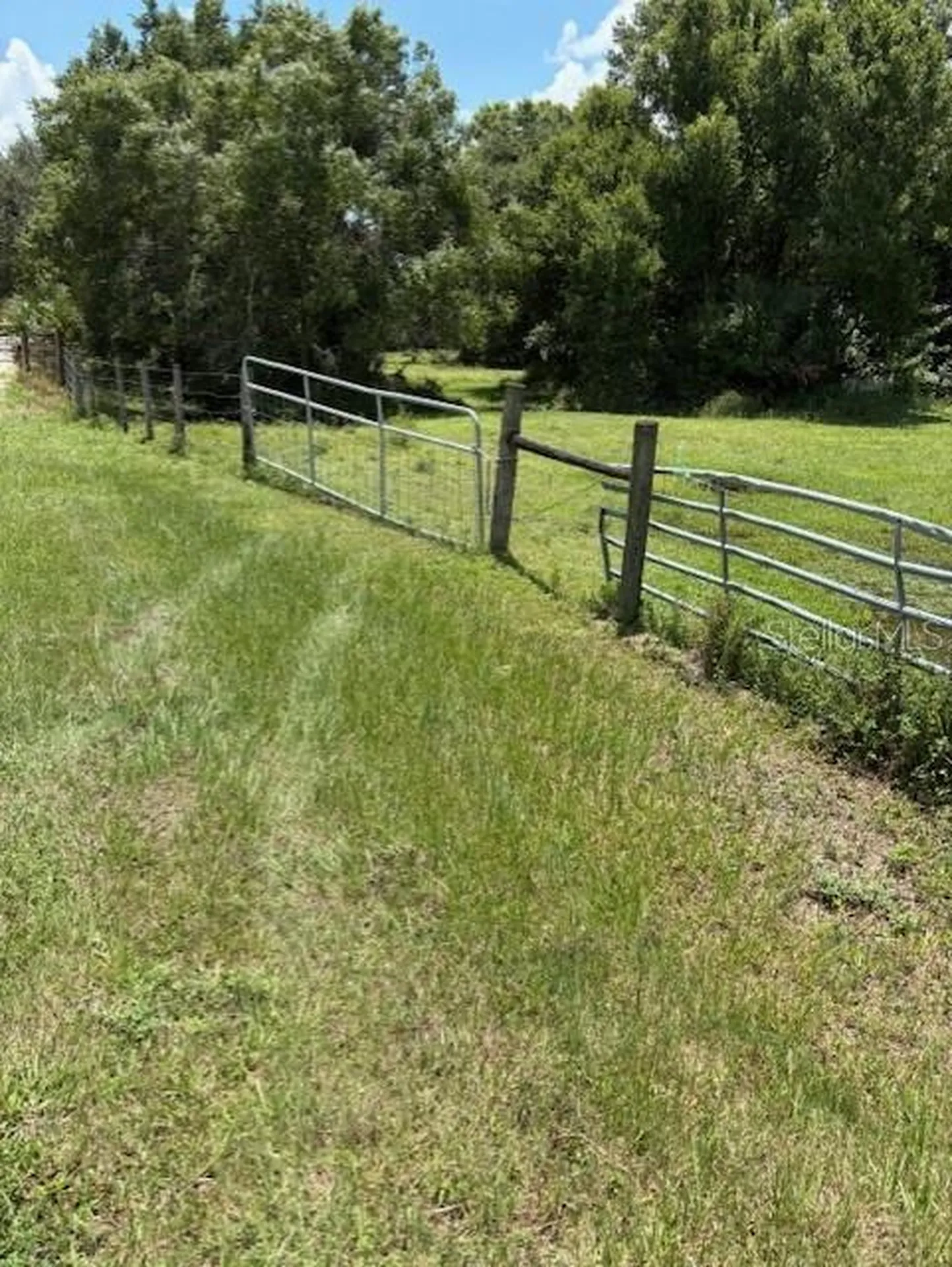 10362 SE Mehl Avenue SE Arcadia FL 34266