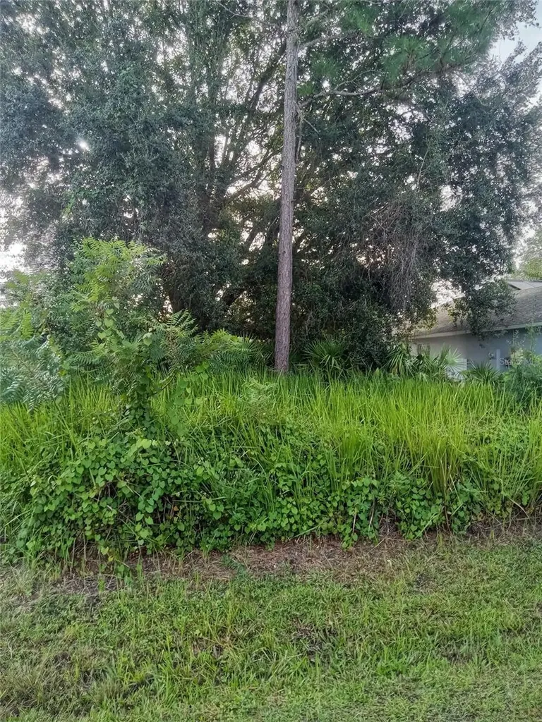 Maricopa Drive Kissimmee FL 34758