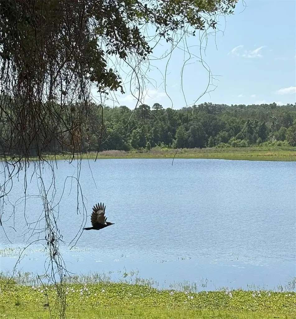 Church Road Brooksville FL 34602