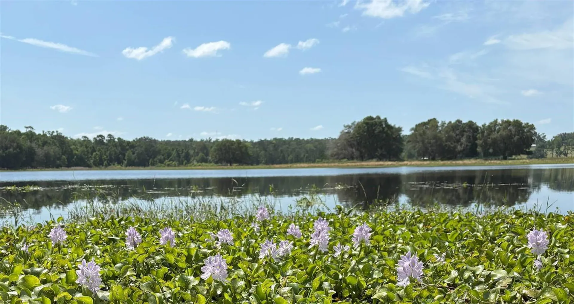 Church Road Brooksville FL 34602