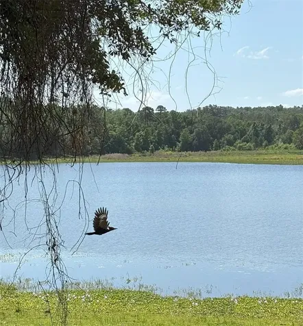 Church Road Brooksville FL 34602