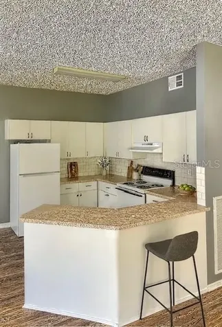 4150 Portillo Road Spring Hill FL 34608