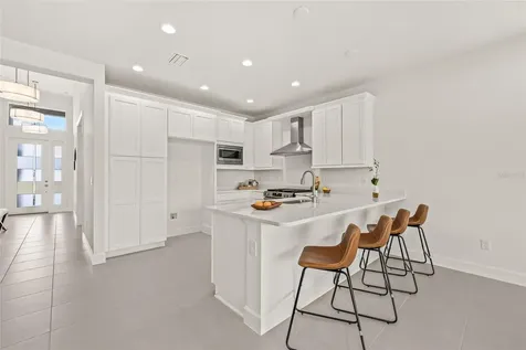 32565 Veneto Place Wesley Chapel FL 33543