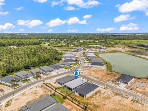 32565 Veneto Place Wesley Chapel FL 33543