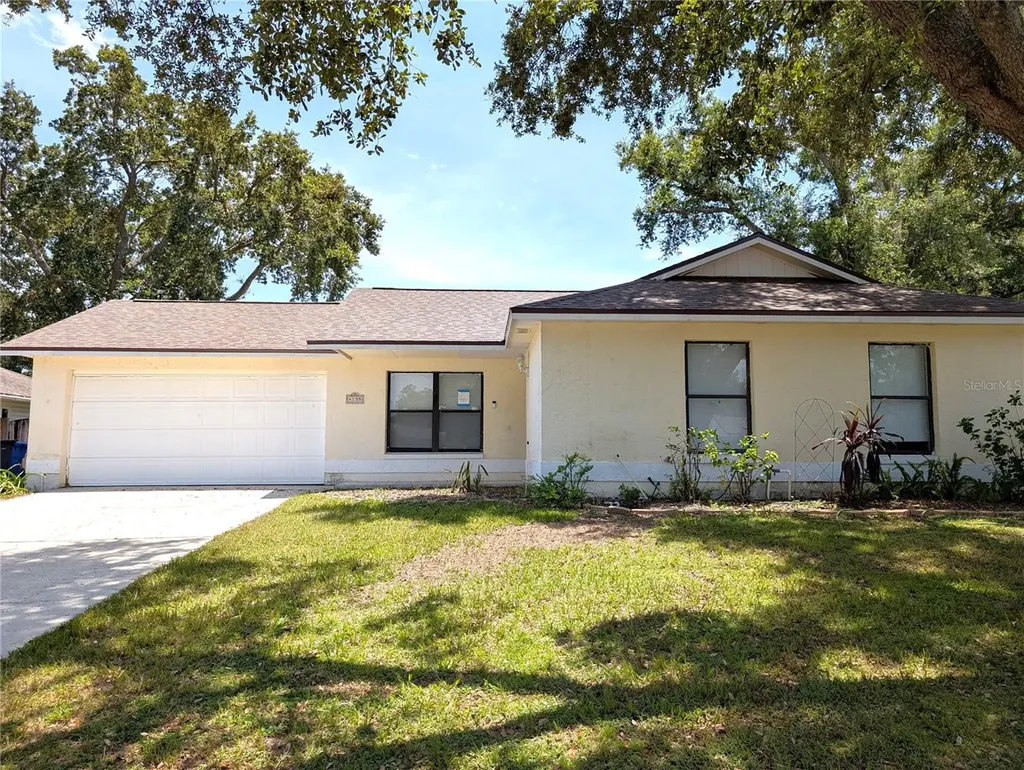 4139 Yellowwood Drive Valrico FL 33594