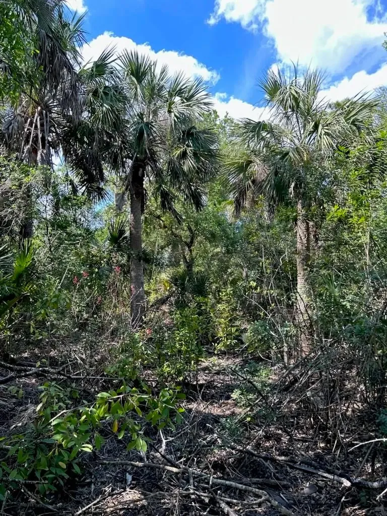 7022 Riverside Drive Punta Gorda FL 33982