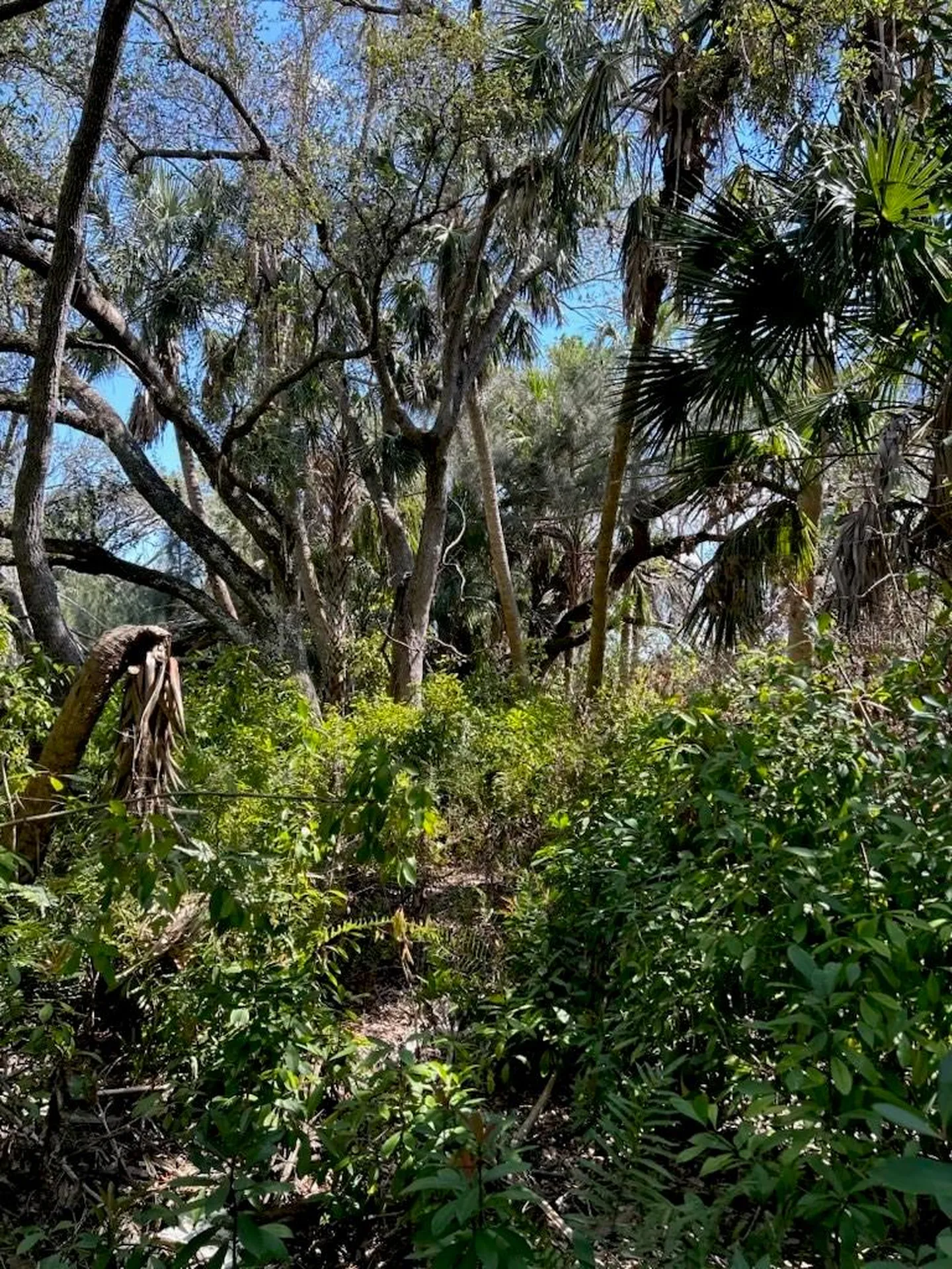 7022 Riverside Drive Punta Gorda FL 33982
