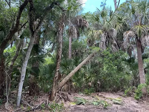 7022 Riverside Drive Punta Gorda FL 33982