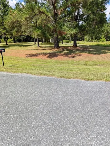 9535 NW 147th Terrace Lake Butler FL 32054