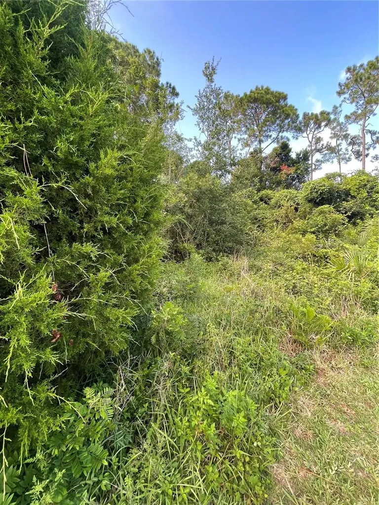 7 Birchfield Place Palm Coast FL 32137