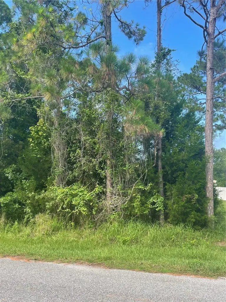 7 Birchfield Place Palm Coast FL 32137