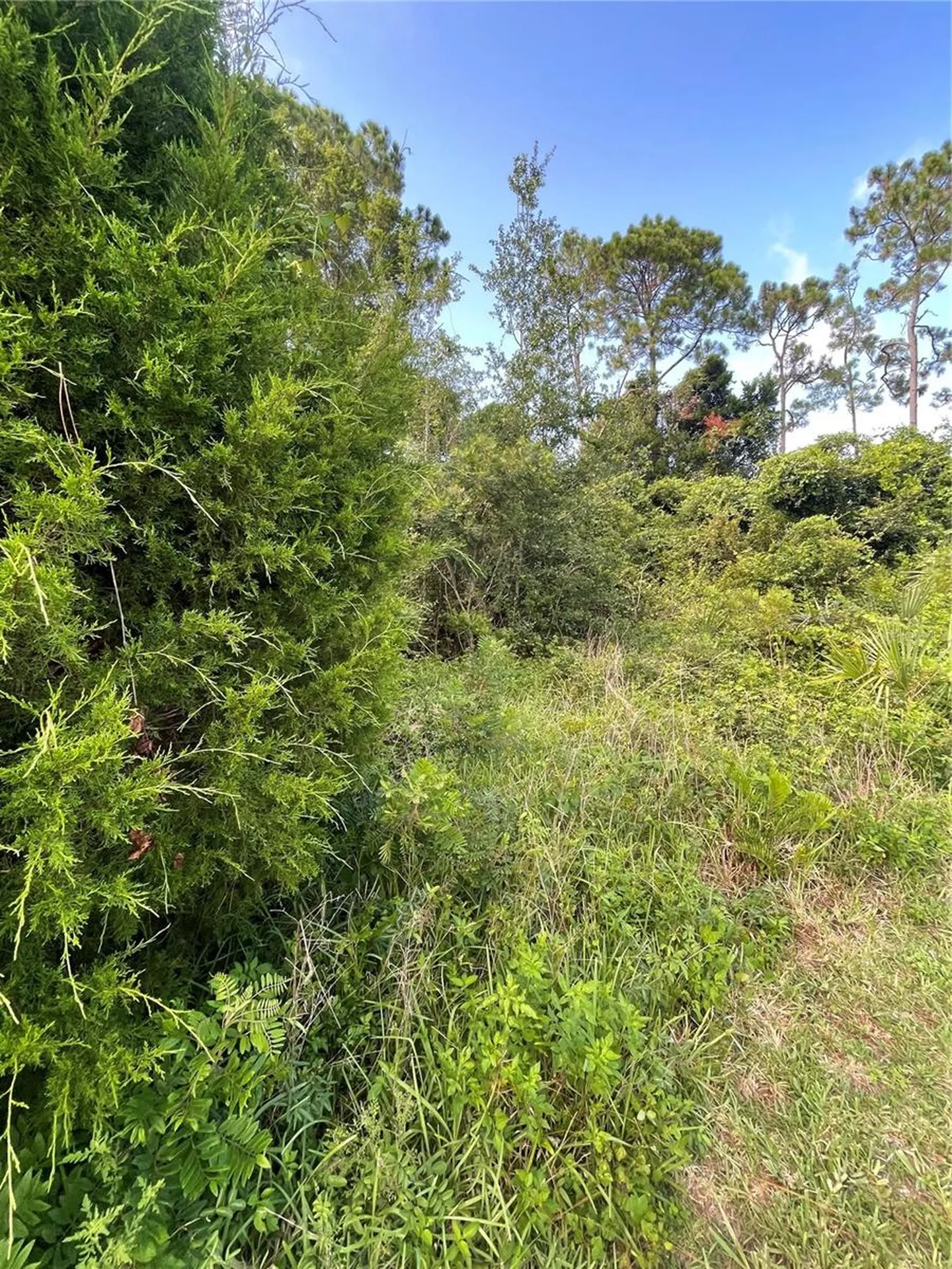 7 Birchfield Place Palm Coast FL 32137