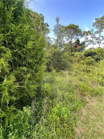 7 Birchfield Place Palm Coast FL 32137