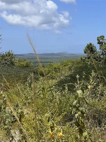La Hueca Vistas Lot 2 Vieques PR 00765