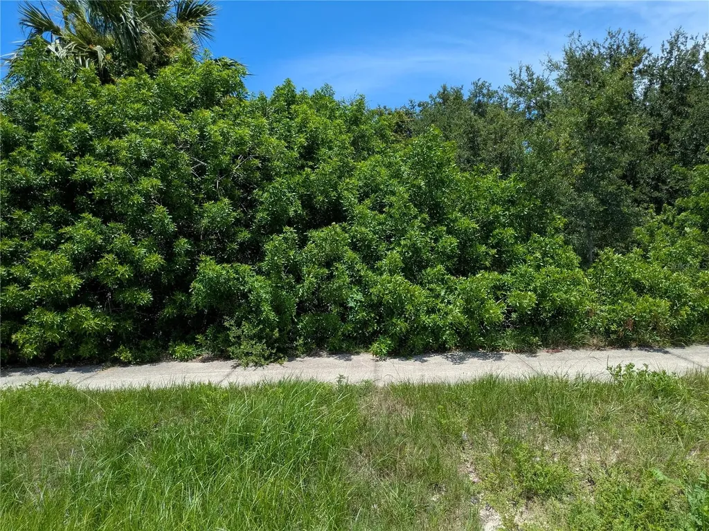 6041 County Line Road Spring Hill FL 34606