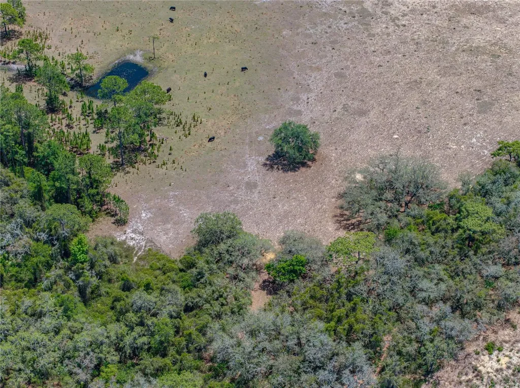 10790 Jim Edwards Road Haines City FL 33844