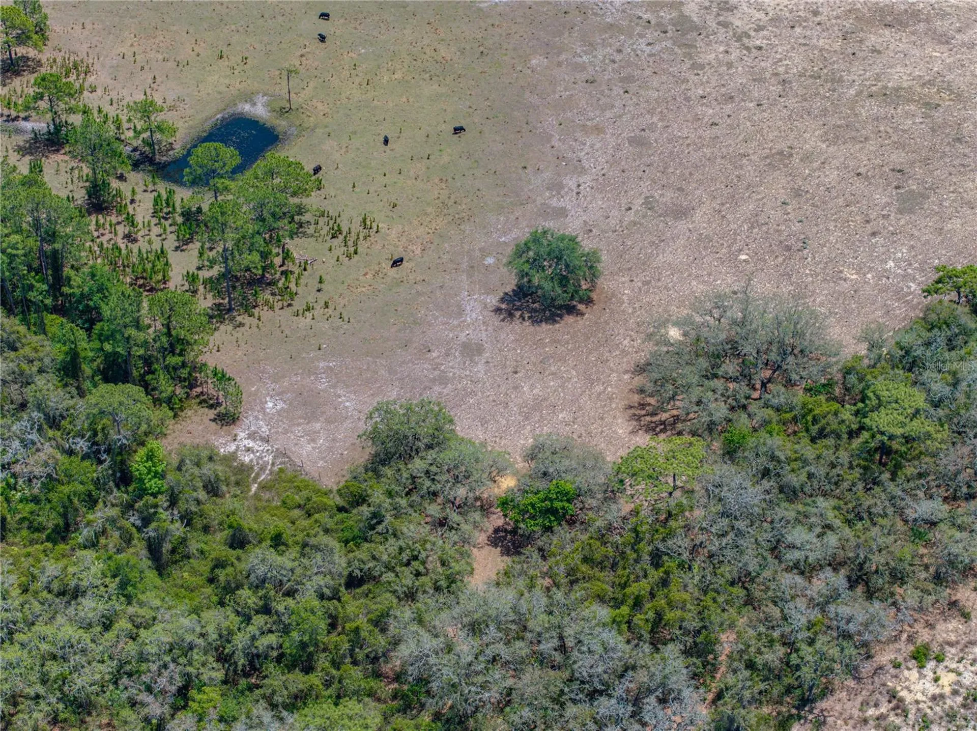 10790 Jim Edwards Road Haines City FL 33844