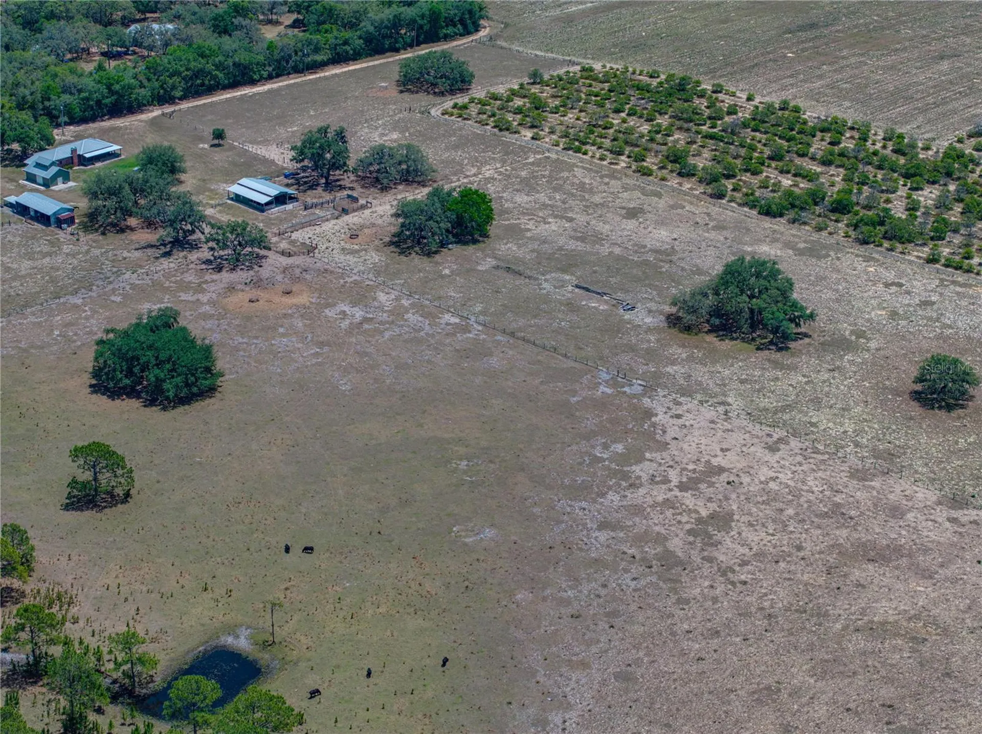 10790 Jim Edwards Road Haines City FL 33844