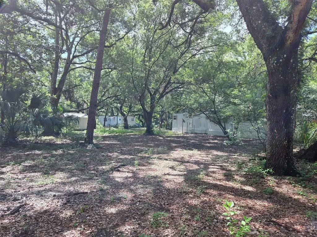 37742 Glades Lane Zephyrhills FL 33542