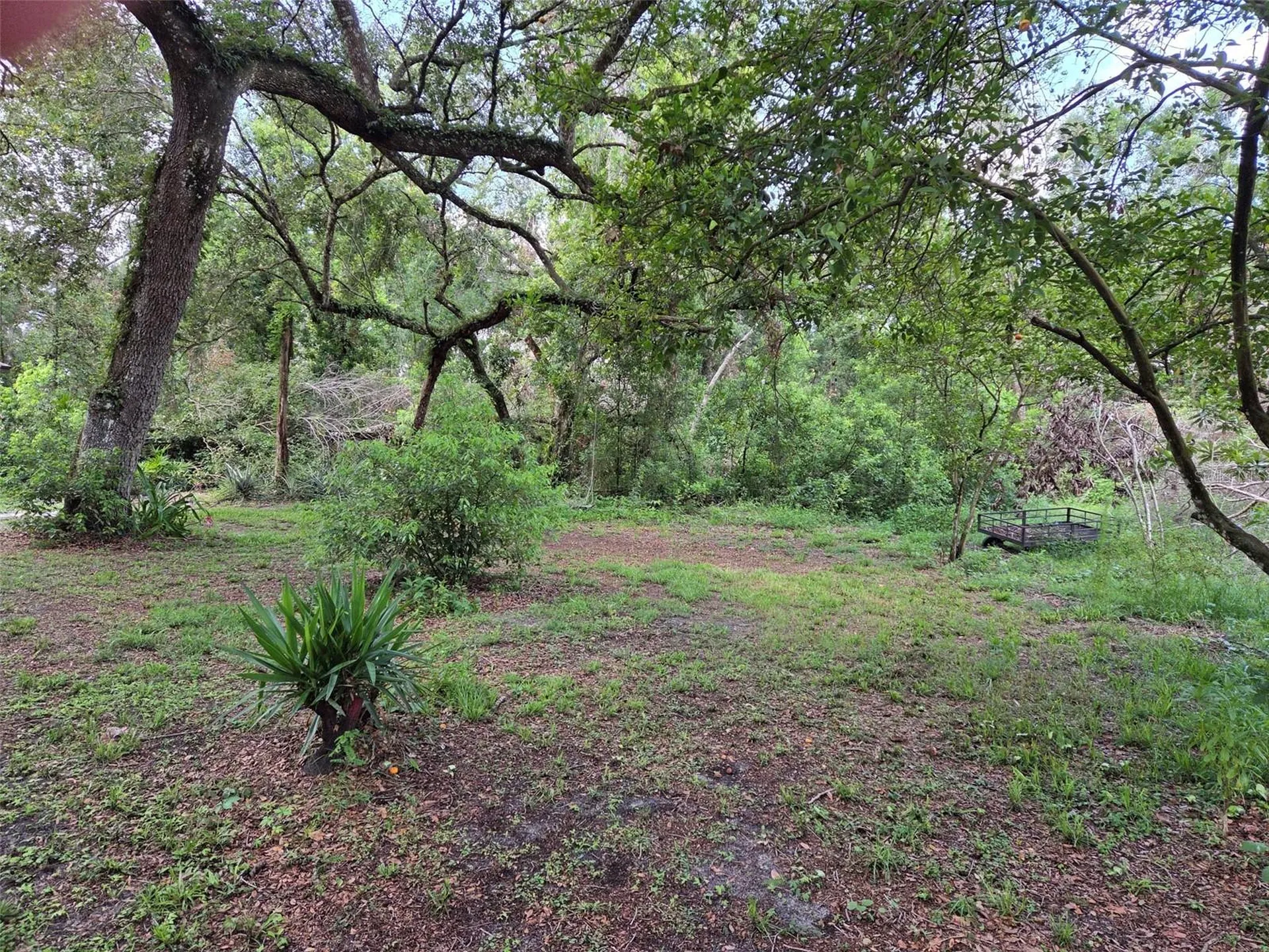 37742 Glades Lane Zephyrhills FL 33542