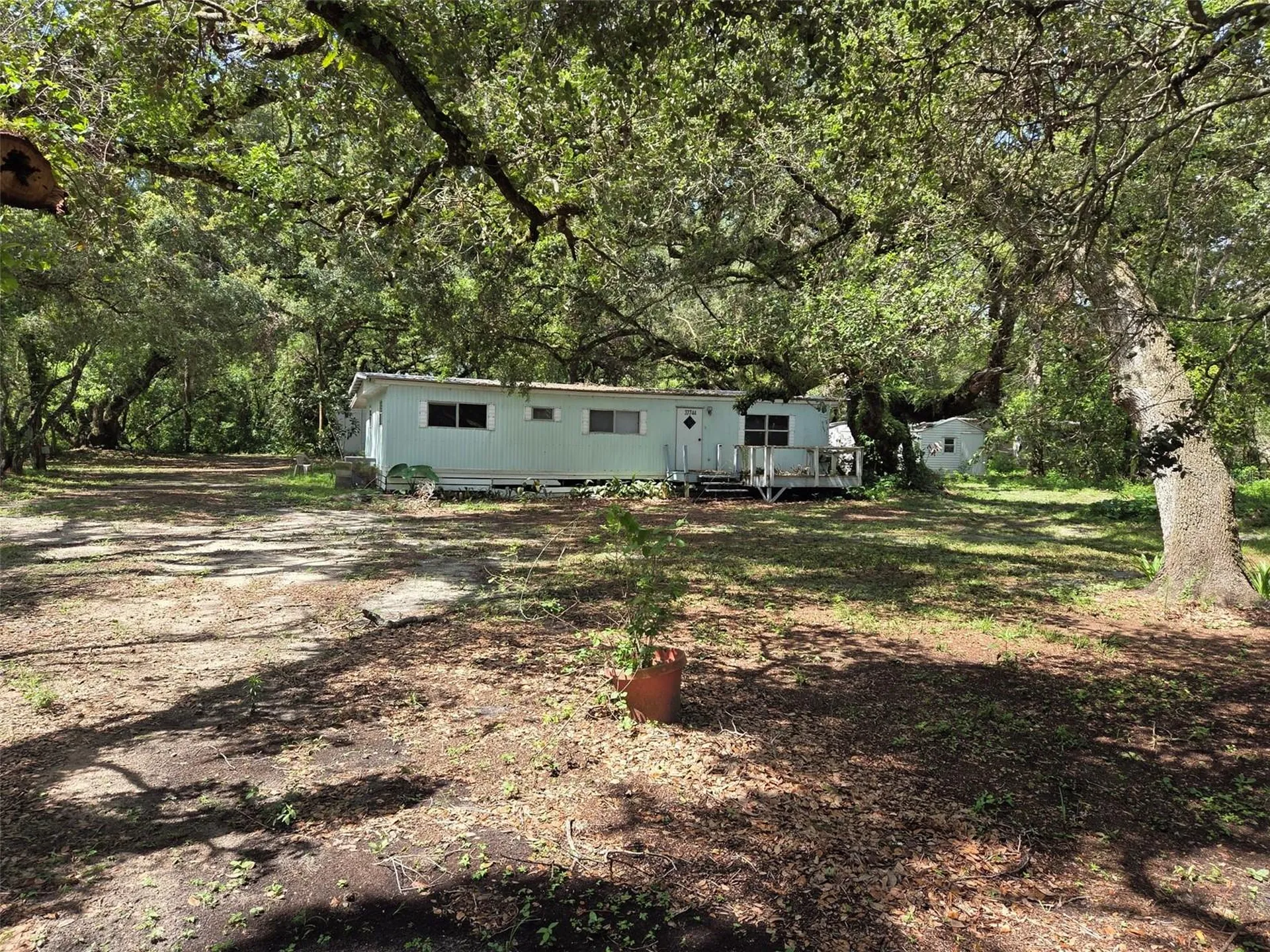 37742 Glades Lane Zephyrhills FL 33542