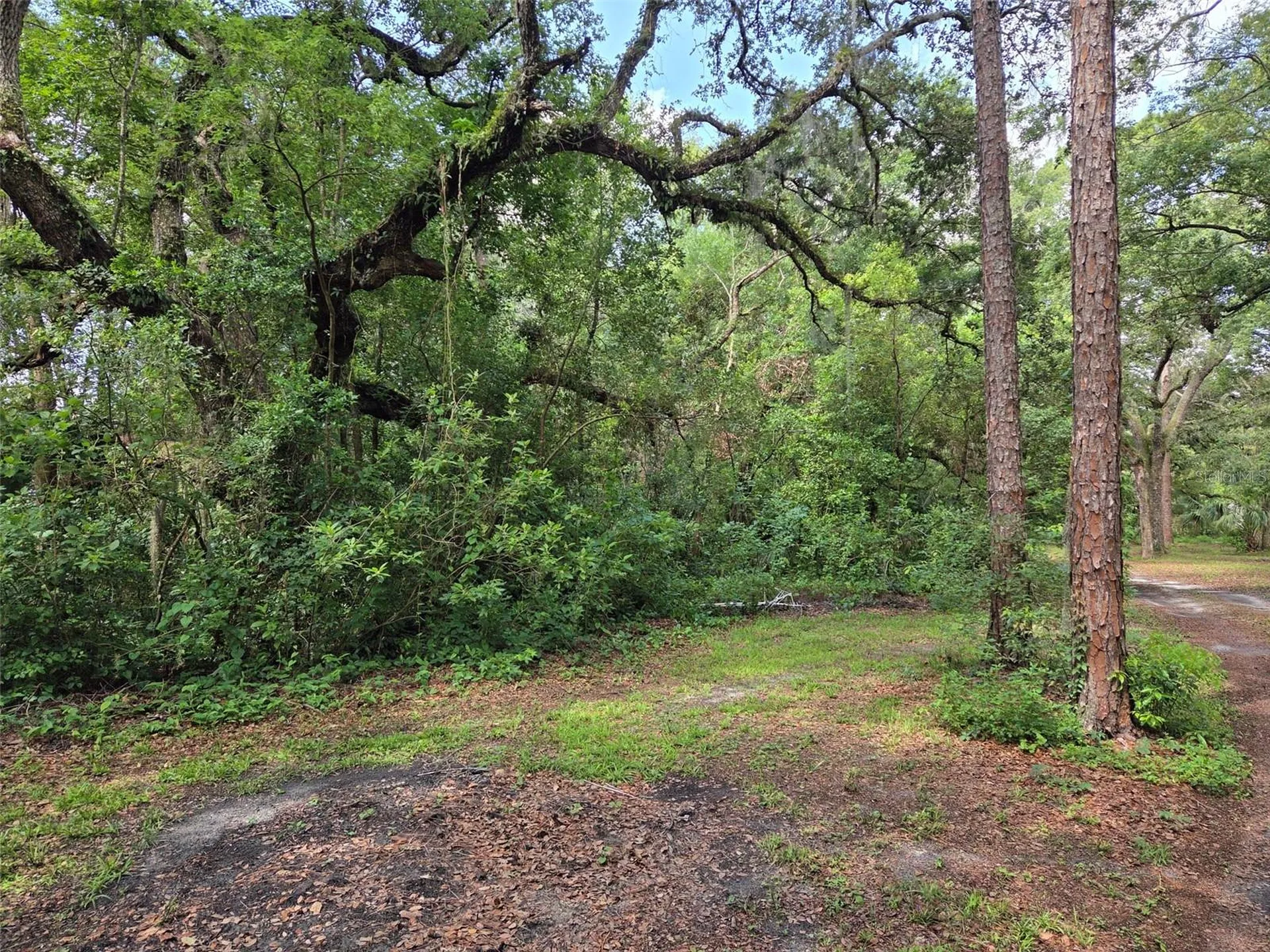 37742 Glades Lane Zephyrhills FL 33542
