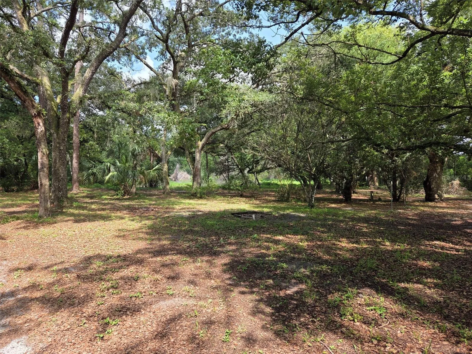 37742 Glades Lane Zephyrhills FL 33542