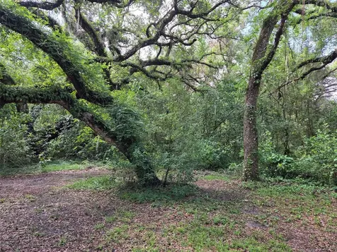 37742 Glades Lane Zephyrhills FL 33542