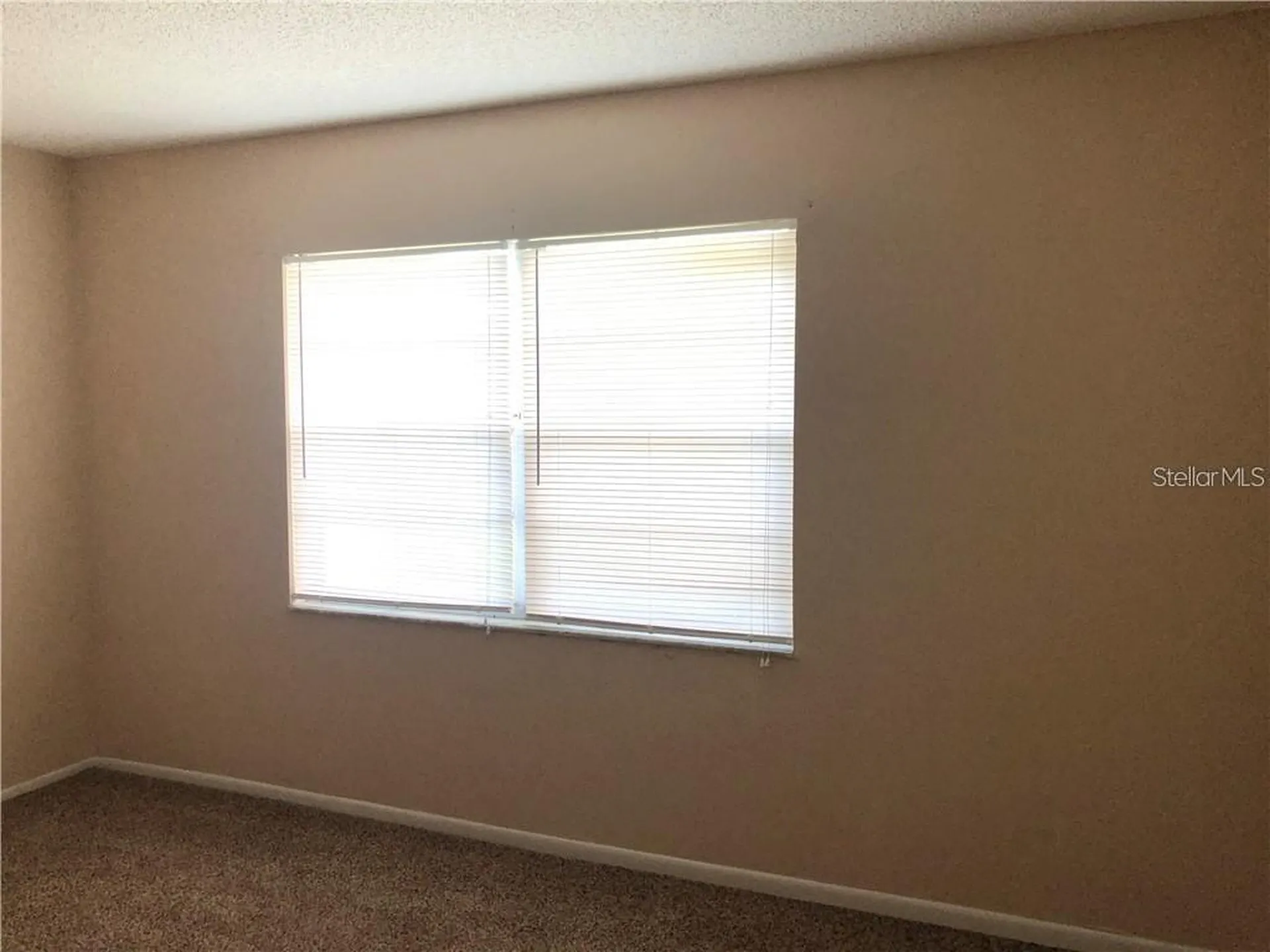 290 Flower Lane Kissimmee FL 34743