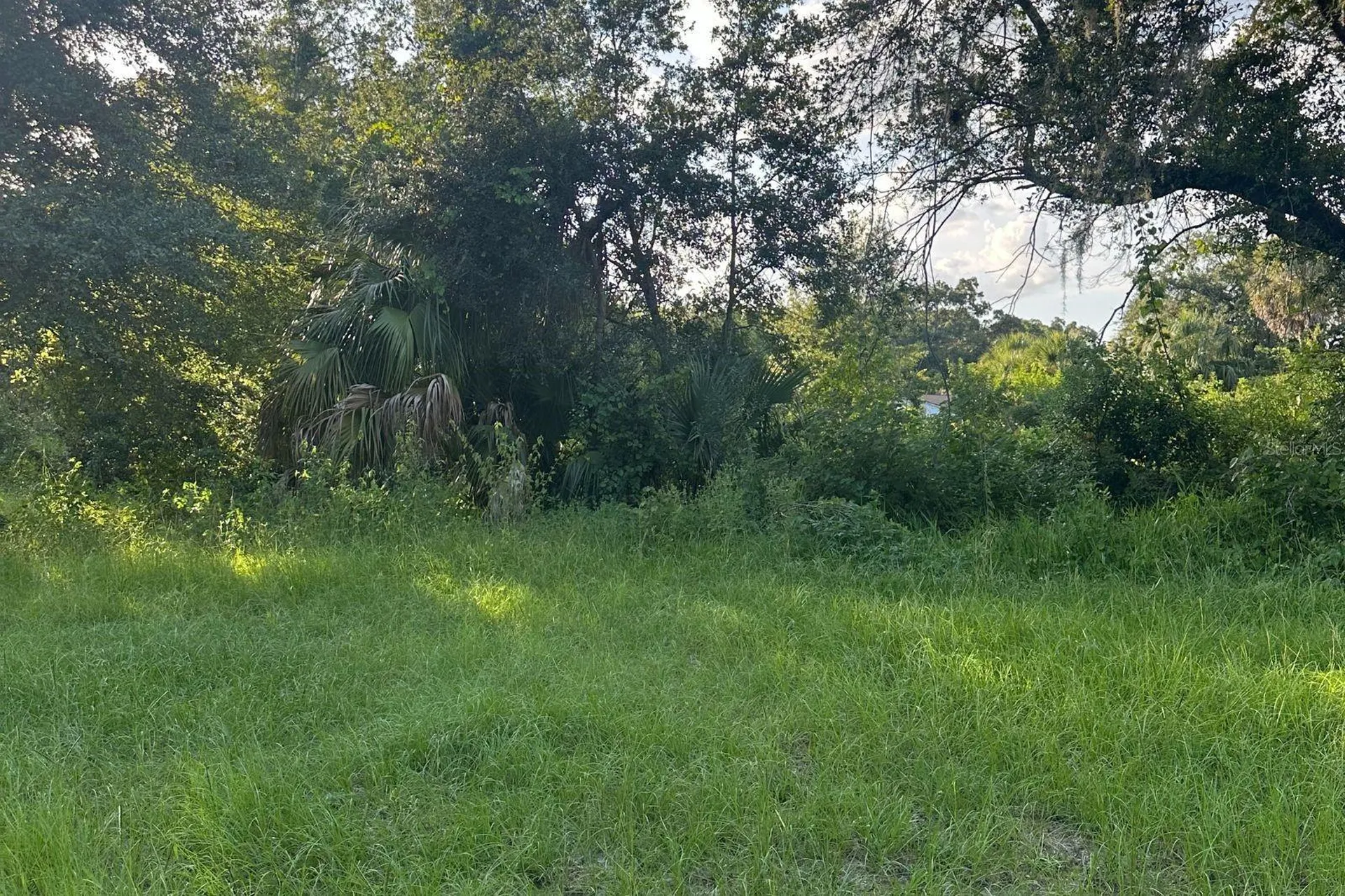 0 Butler Avenue Kissimmee FL 34741