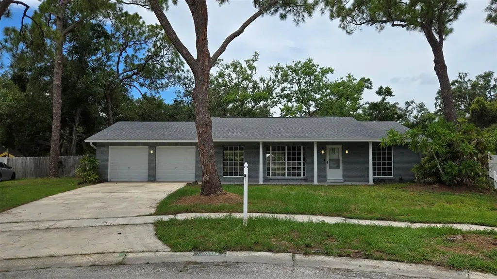 8328 W Pocahontas Avenue Tampa FL 33615