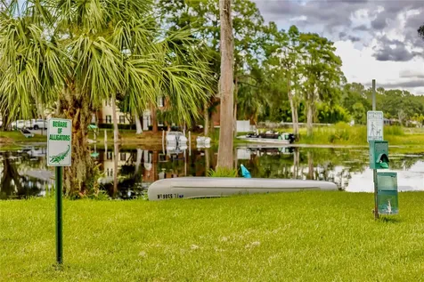 13718 Orange Sunset Drive Tampa FL 33618