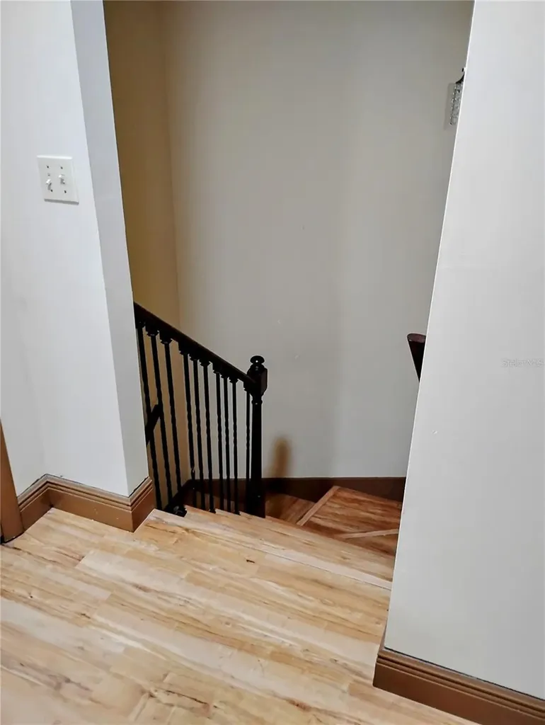 11721 Raintree Drive Tampa FL 33617