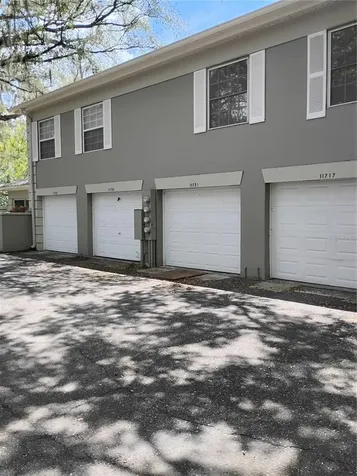 11721 Raintree Drive Tampa FL 33617