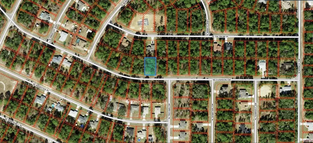 3369 W Cushion Drive Citrus Springs FL 34433