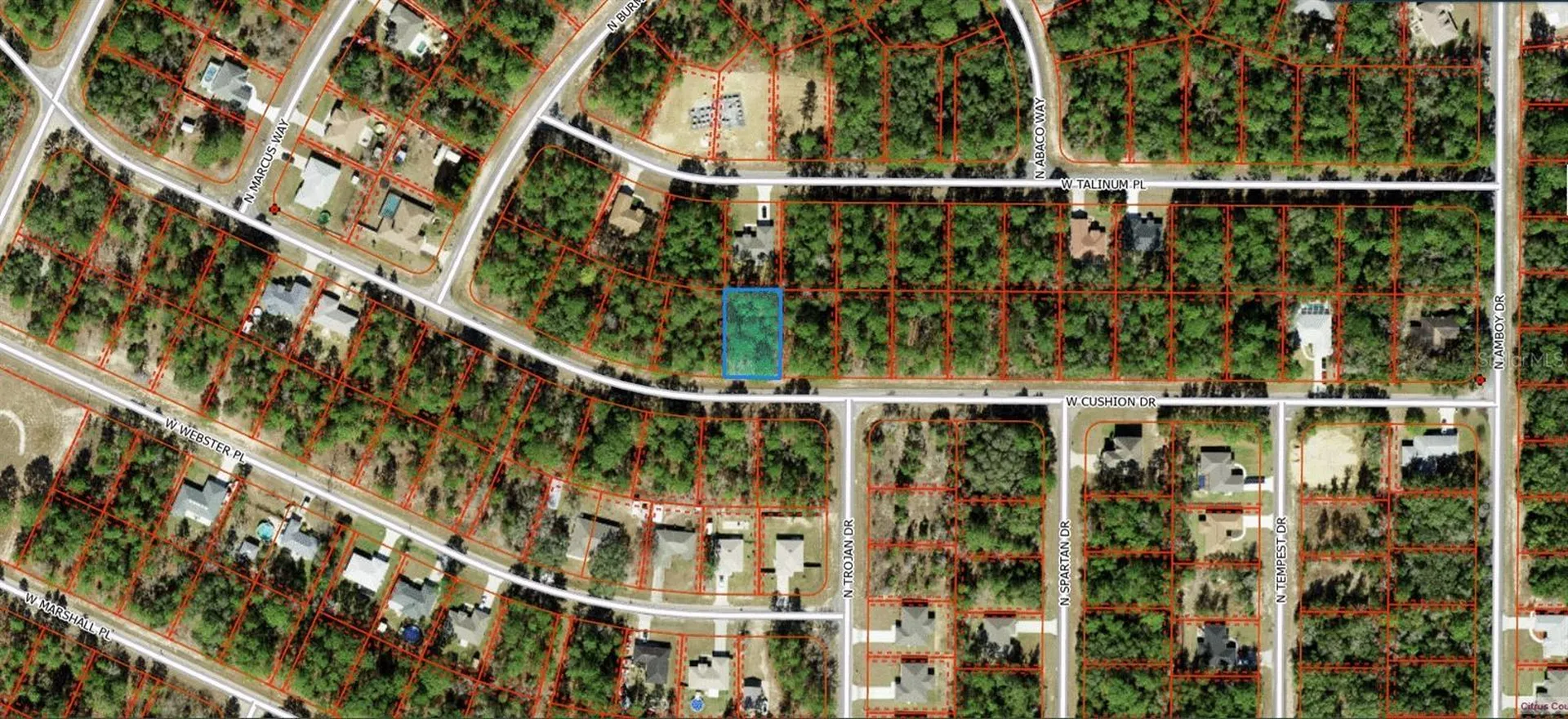 3369 W Cushion Drive Citrus Springs FL 34433