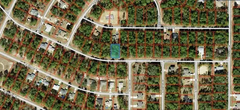 3369 W Cushion Drive Citrus Springs FL 34433