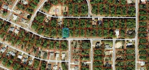 3357 W Cushion Drive Citrus Springs FL 34433