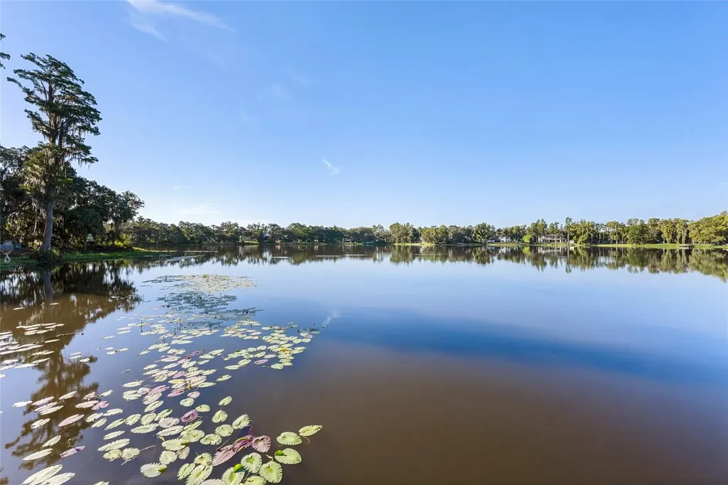 16619 Indian Mound Road Tampa FL 33618
