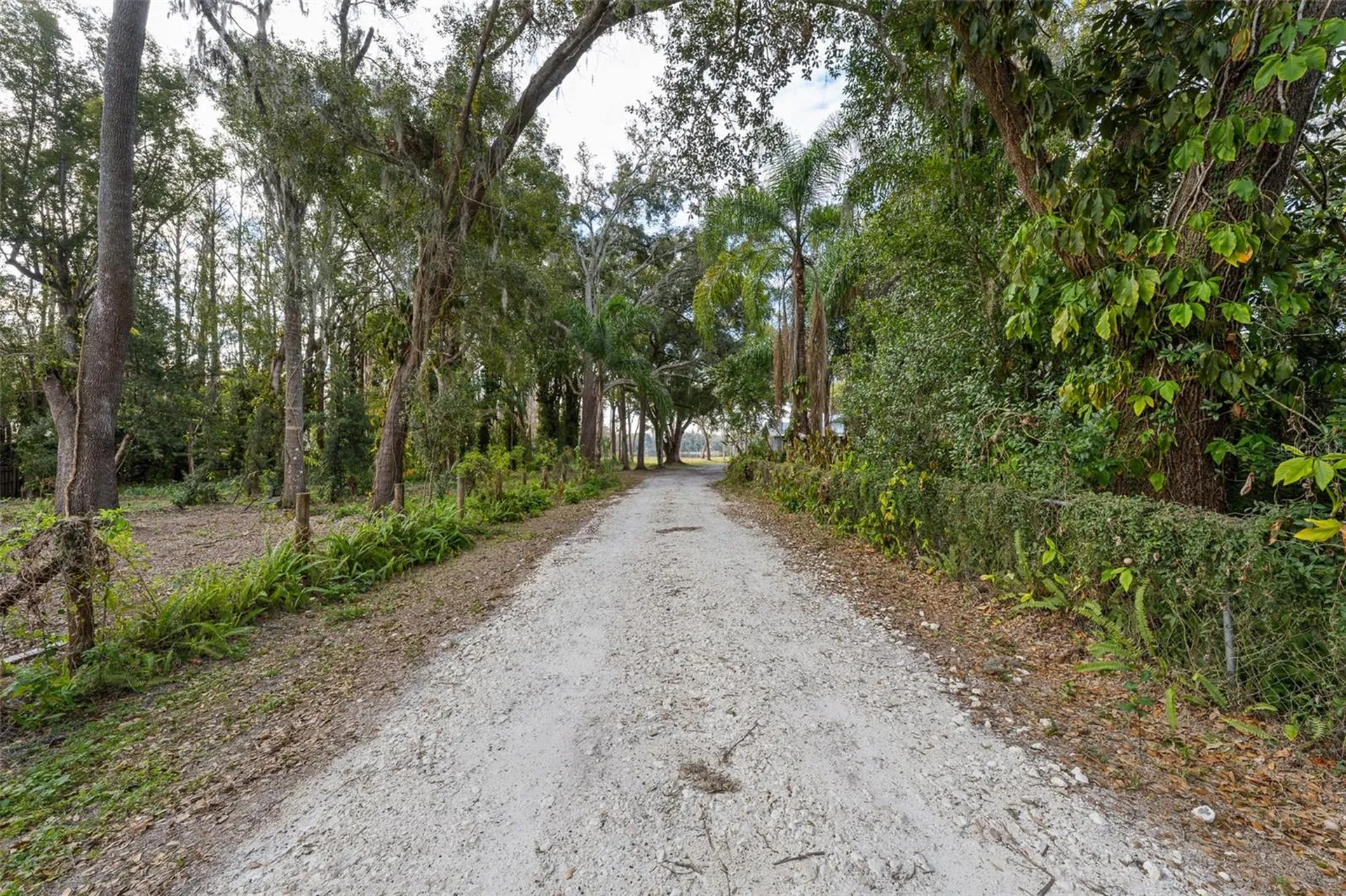 16619 Indian Mound Road Tampa FL 33618