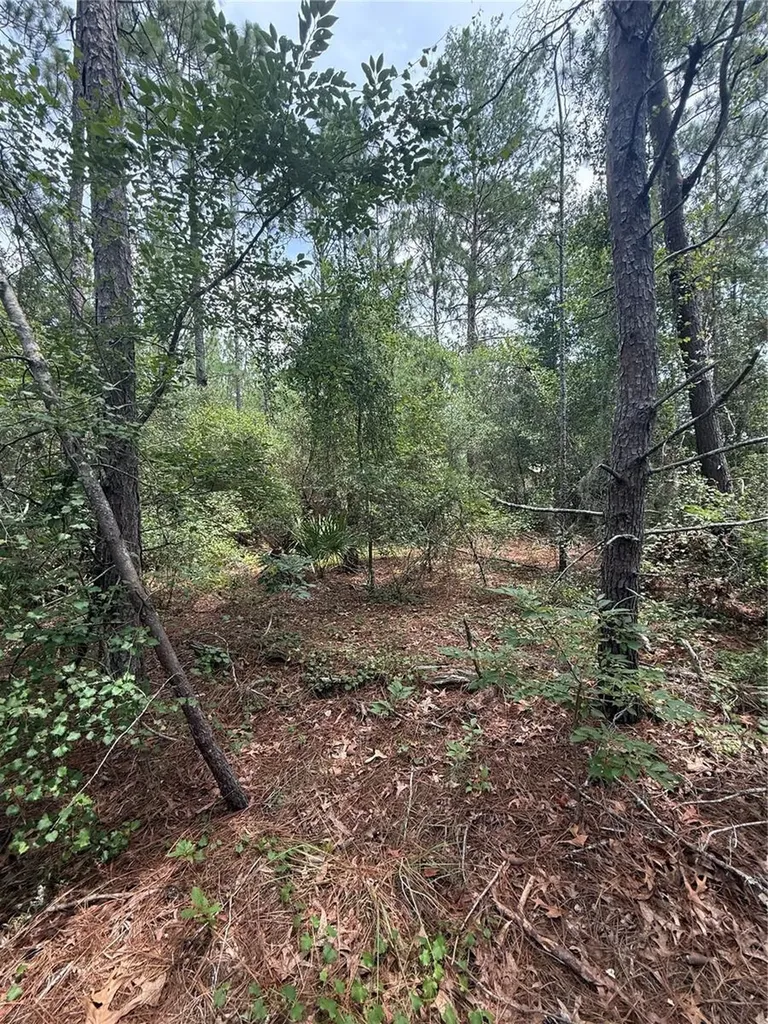SW 38th Circle Ocala FL 34473