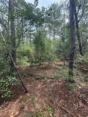 SW 38th Circle Ocala FL 34473