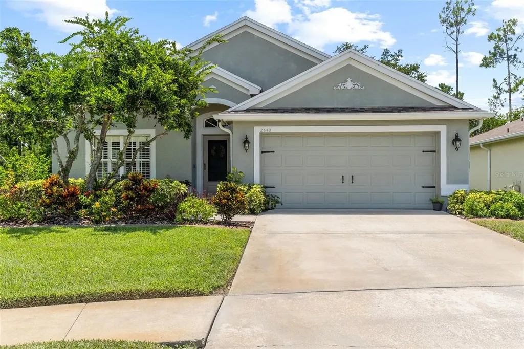 2540 Rosehaven Drive Wesley Chapel FL 33544