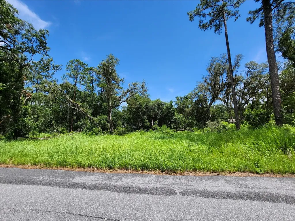 Tbd Oak Lane Way Ocala FL 34472