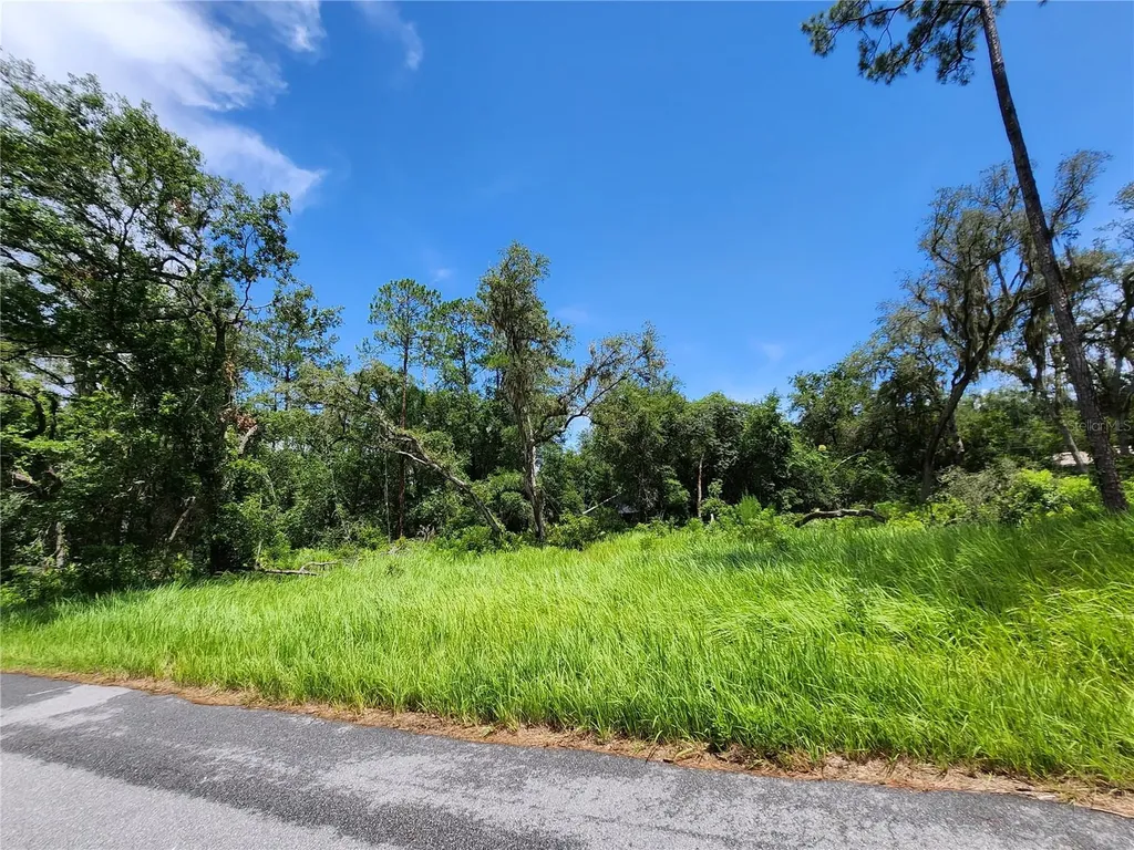 Tbd Oak Lane Way Ocala FL 34472