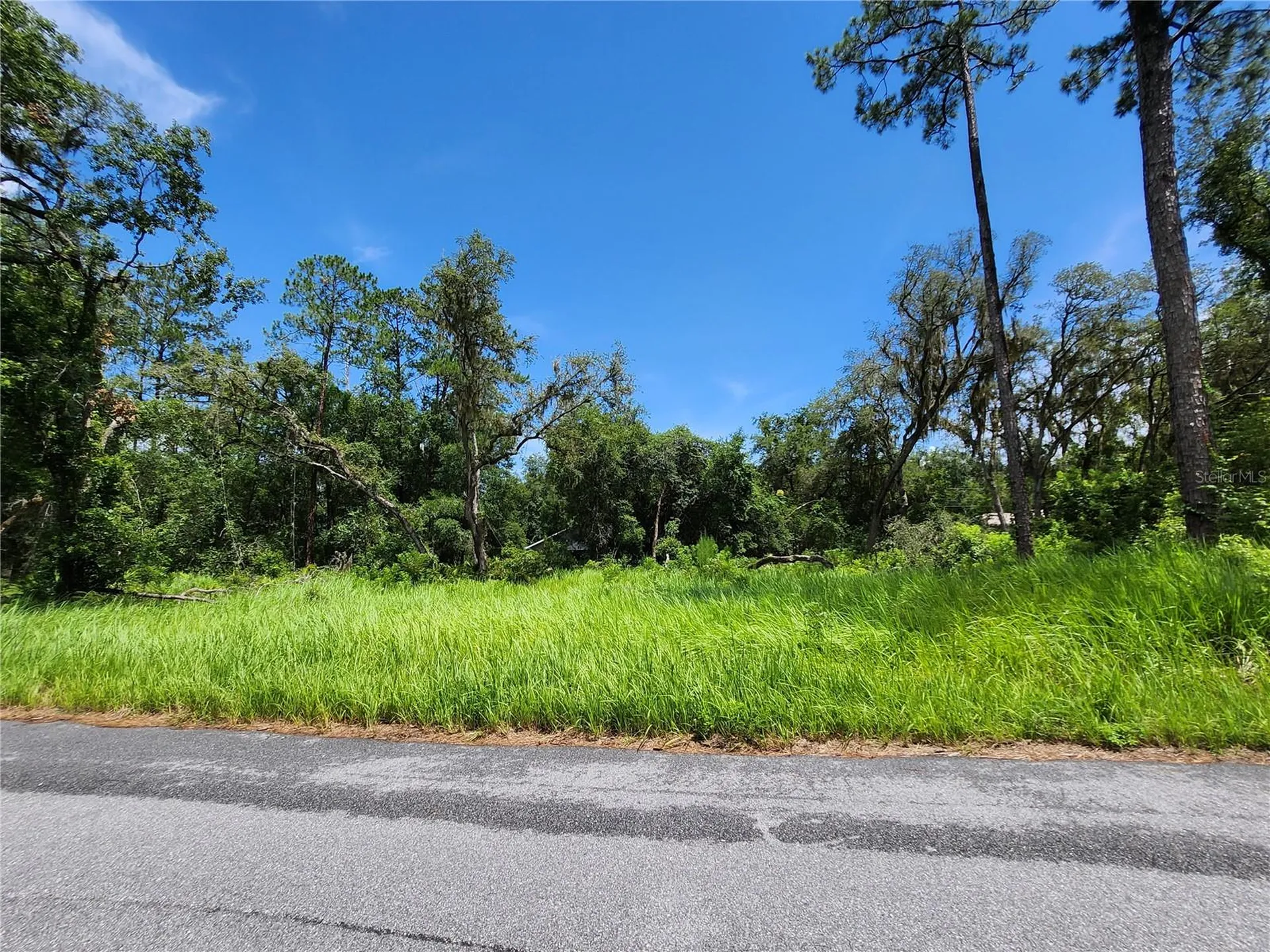 Tbd Oak Lane Way Ocala FL 34472