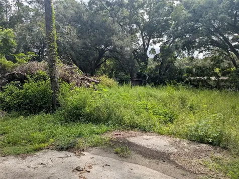 6667 NW 61st Court Ocala FL 34482