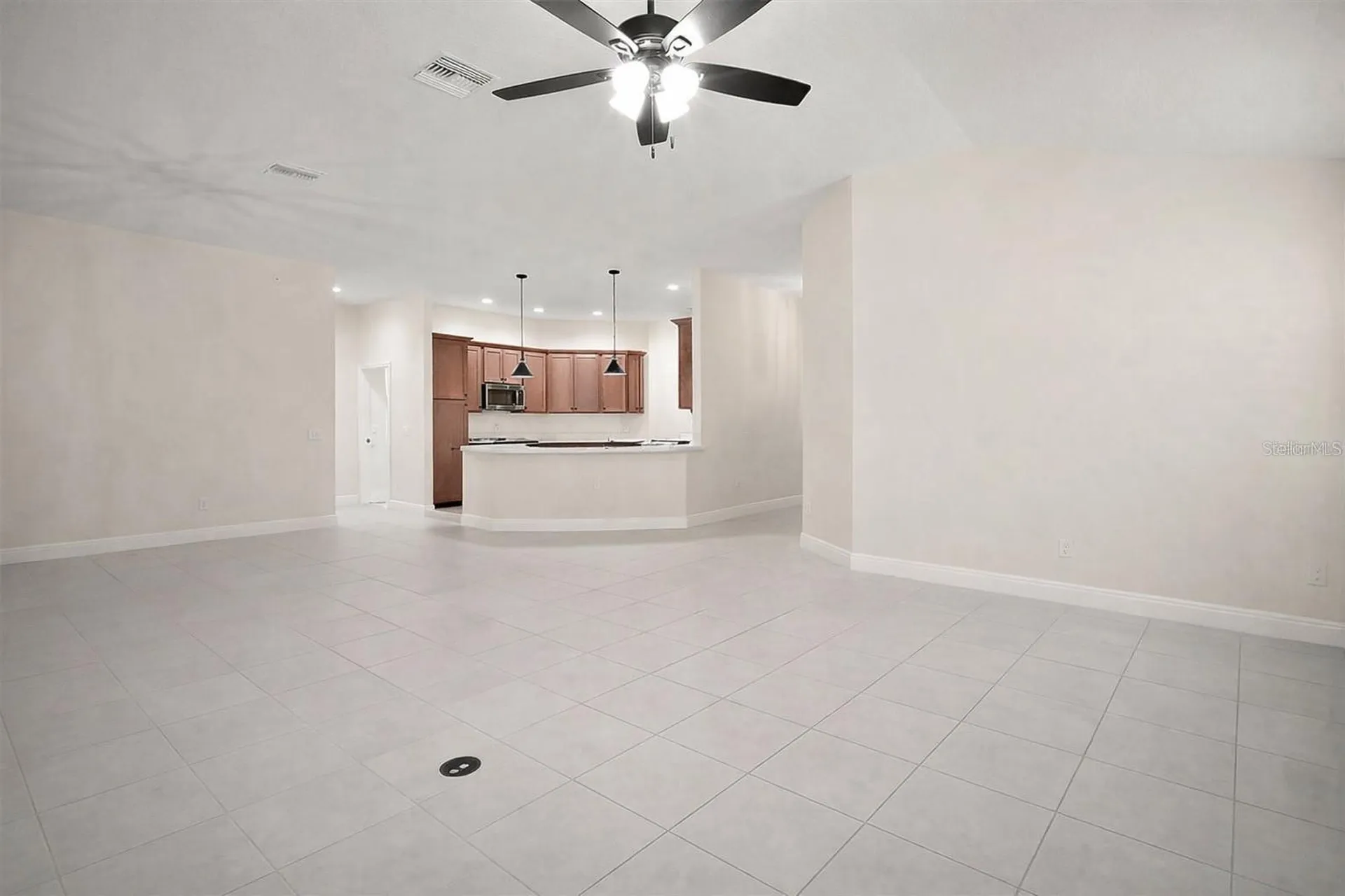 1645 Mclucas Lane The Villages FL 34762