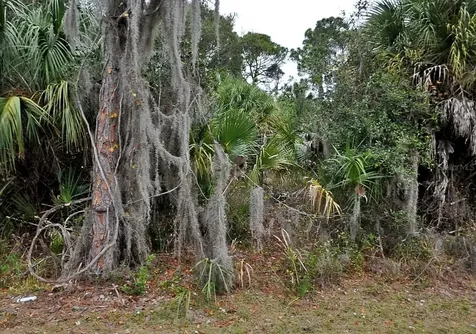 Shady Avenue North Port FL 34286