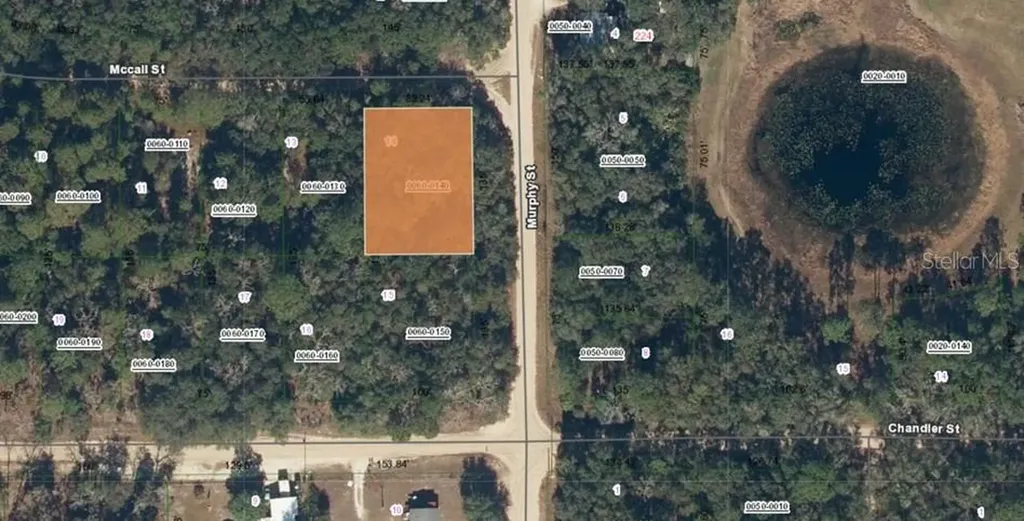 Mccall Street Interlachen FL 32148